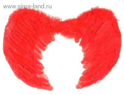 Лот: 4809883. Фото: 1. Крылья из перьев. Другое (одежда, обувь, галантерея)