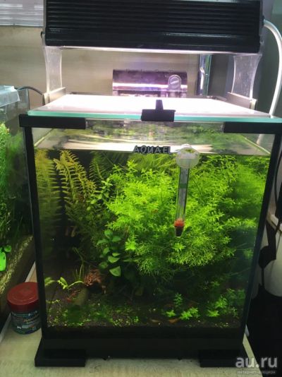 Лот: 13541239. Фото: 1. Нанокуб 20литров Aquael. Аквариумы, террариумы