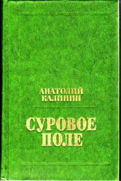 Лот: 12256482. Фото: 1. Суровое поле Повести и романы. Художественная