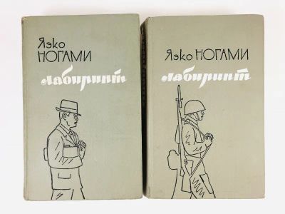 Лот: 23303522. Фото: 1. Лабиринт. Роман в двух томах... Художественная