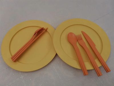 Лот: 17099348. Фото: 1. Набор для пикника "Tupperware". Посуда для туристических походов, пикников