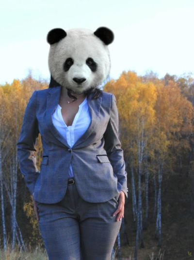 Лот: 5392984. Фото: 1. Костюм Zara. Костюмы