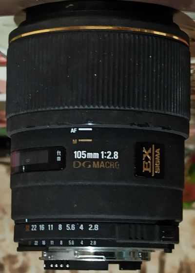 Лот: 17145510. Фото: 1. Объектив Sigma DG 105 mm f/ 2... Объективы