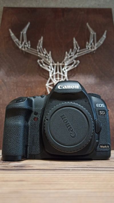 Лот: 19587730. Фото: 1. Canon 5d mark ii. Цифровые зеркальные