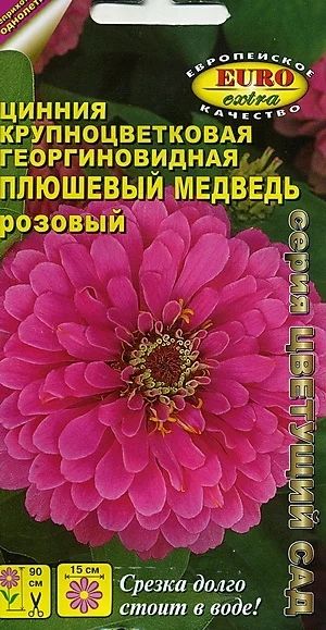 Лот: 7457900. Фото: 1. Рассада циннии крупноцветковой... Садовые цветы