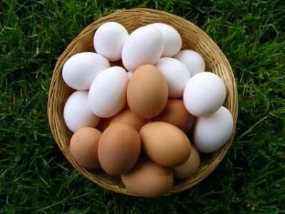 Лот: 9895242. Фото: 1. Яйцо куриное домашнее. Мясо, птица, яйцо