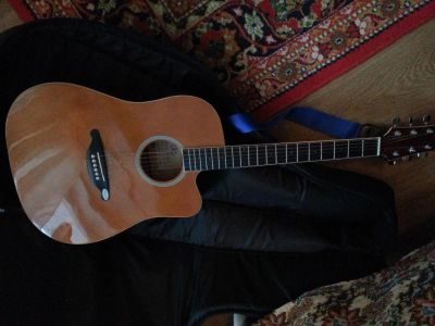 Лот: 9878411. Фото: 1. Гитара sx custom guitars dg 26... Гитары