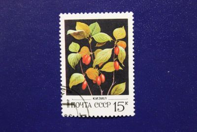 Лот: 6849548. Фото: 1. Почтовая марка №4016 в коллекцию. Марки