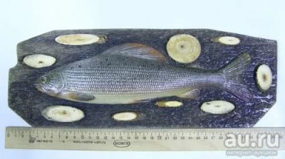 Лот: 13675723. Фото: 1. Сувенир Хариус. Другое (сувениры, подарки)