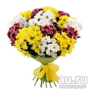 Лот: 13649132. Фото: 1. Хризантема кустовая,читайте описание... Свежие цветы