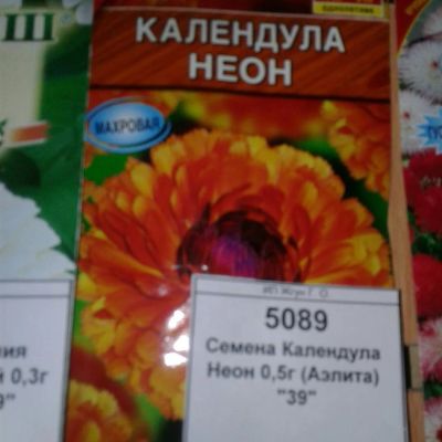 Лот: 9118049. Фото: 1. Семена / цветы / Календула / Неон... Садовые цветы