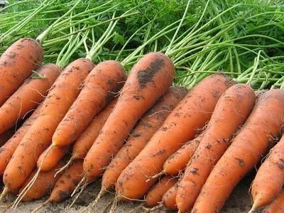 Лот: 6452223. Фото: 1. Картофель, свекла, морковь из... Овощи, фрукты, зелень
