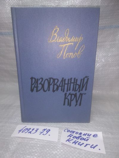 Лот: 25774625. Фото: 1. (4092379)Попов В.Ф. Разорванный... Художественная