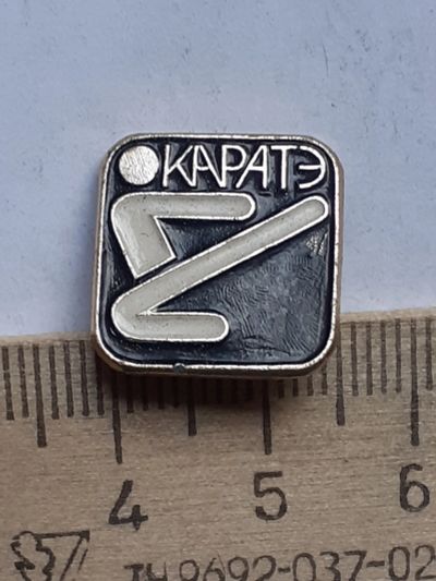 Лот: 19202506. Фото: 1. (№13467) значки спорт ,Каратэ. Памятные медали