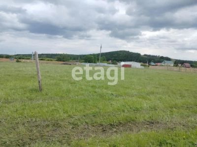Лот: 19450921. Фото: 1. участок , село Еловое село Еловое... Земельные участки