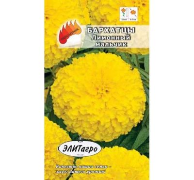 Лот: 11024240. Фото: 1. Бархатцы Лимонный мальчик 0,2гр... Садовые цветы