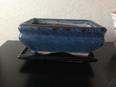 Лот: 5691724. Фото: 1. бонсайница. Кашпо, горшки, вазоны для цветов