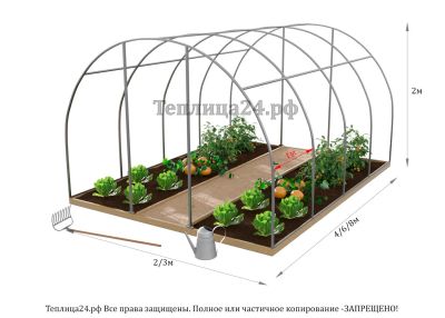 Лот: 17208660. Фото: 1. Теплица «Комфорт» -3/4 м. Теплицы