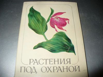 Лот: 10942539. Фото: 1. Советский комплект открыток "Растения... Открытки, конверты