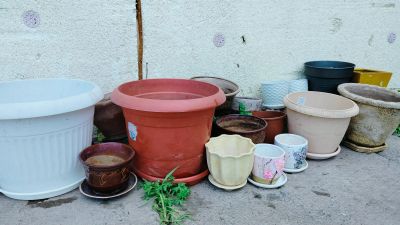Лот: 22992454. Фото: 1. Горшки для цветов. Кашпо, горшки, вазоны для цветов