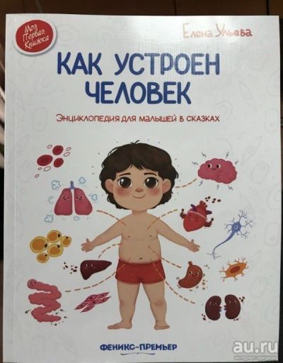 Лот: 13194728. Фото: 1. "Как устроен человек.Энциклопедия... Познавательная литература