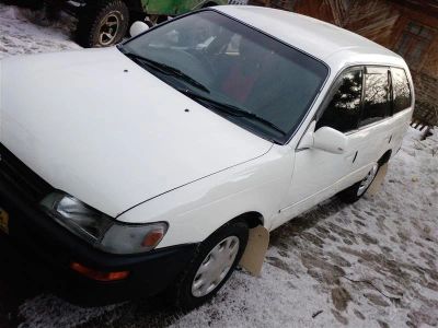 Лот: 1662612. Фото: 1. Corolla. Автомобили