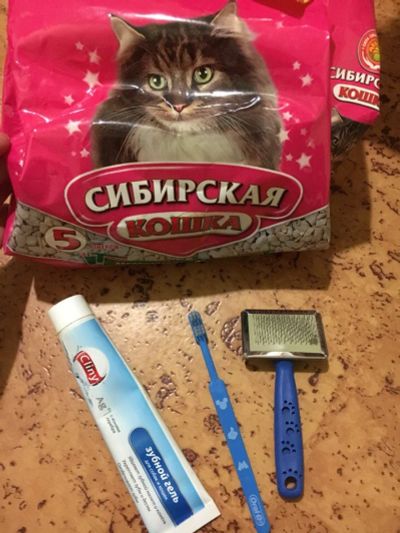 Лот: 10829113. Фото: 1. новый набор для кота\коши (много... Подарки на Новый год