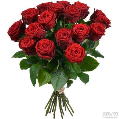 Лот: 13836292. Фото: 1. Лот № 651 Букет из 17 красных... Свежие цветы