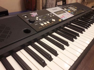 Лот: 9509523. Фото: 1. Синтезатор Yamaha PSR-E223. Клавишные