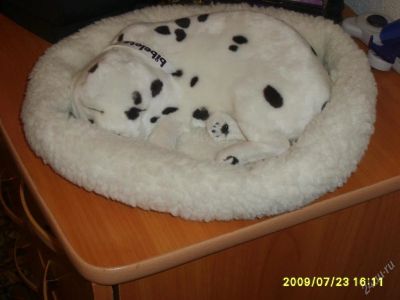 Лот: 95016. Фото: 1. Собачка мягкая (новая). Другое (дети растут)