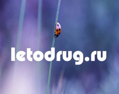 Лот: 9623503. Фото: 1. Домен letodrug.ru (лето, отдых... Доменные имена, сайты