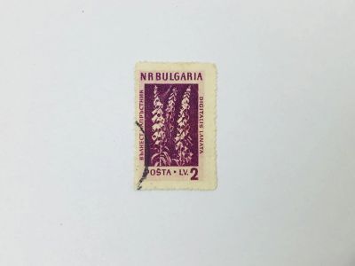 Лот: 23963597. Фото: 1. Цветы и растения. Наперстянка... Марки