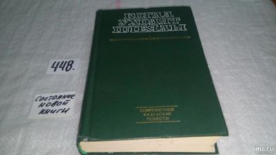 Лот: 9916931. Фото: 1. Когда уходят плеяды. Современные... Художественная