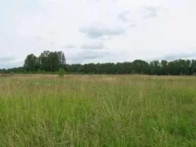 Лот: 3884954. Фото: 1. Земля под дачное строительство. Земельные участки