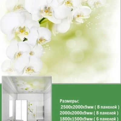 Лот: 9869343. Фото: 1. Панели ПВХ для потолка Novita... Обои, панели, ДВП, ДСП, МДФ