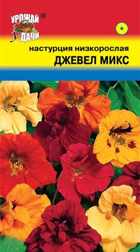 Лот: 12955429. Фото: 1. Семена настурции низкорослой... Садовые цветы