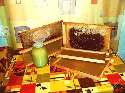 Лот: 2955127. Фото: 1. Мёд 2019 с разнотравья Сибирский... Мёд, продукты пчеловодства