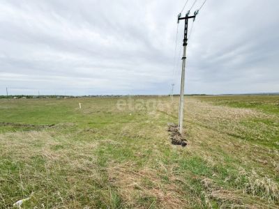Лот: 25296434. Фото: 1. участок , СНТ Дружба СНТ Дружба... Земельные участки