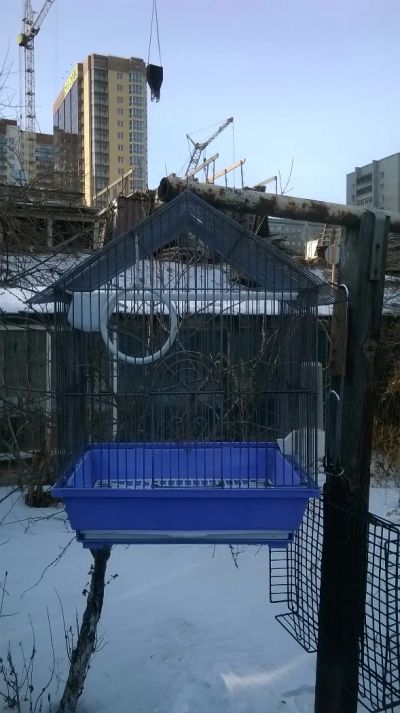 Лот: 5046735. Фото: 1. Клетка для попугая. Домики, переноски, клетки, когтеточки