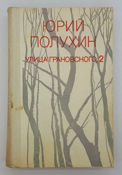 Лот: 25822476. Фото: 1. Юрий Полухин / Улица Грановского... Книги
