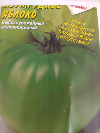 Лот: 17657892. Фото: 1. Томат "Изумрудное яблоко" рассада. Овощи