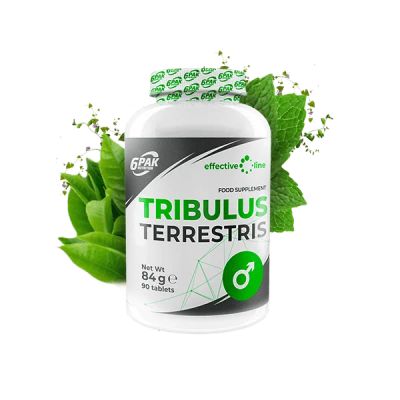 Лот: 17536229. Фото: 1. 6PAK Tribulus 90 таб. 6pak. Спортивное питание, витамины