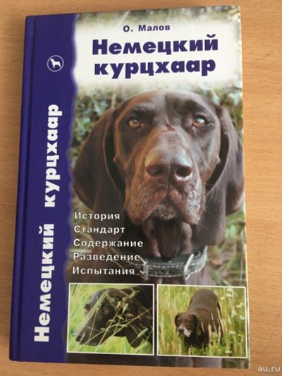 Лот: 13877308. Фото: 1. Олег Малов "Немецкий Курцхаар". Книги для родителей