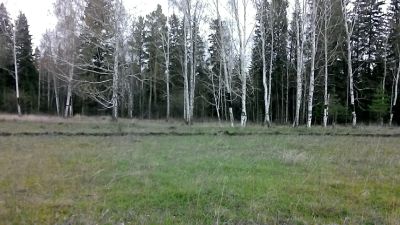 Лот: 3014395. Фото: 1. Земельный участок в поселке Чистые... Земельные участки