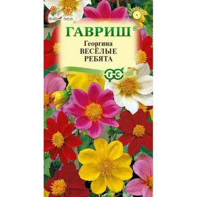 Лот: 24683650. Фото: 1. Семена Цветы, Георгина, Веселые... Другое (семена, рассада, садовые растения)