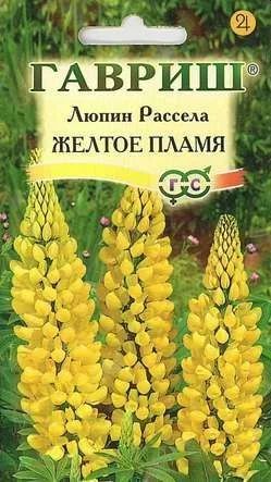 Лот: 11025440. Фото: 1. Люпин Рассела Желтое пламя 0,5... Садовые цветы
