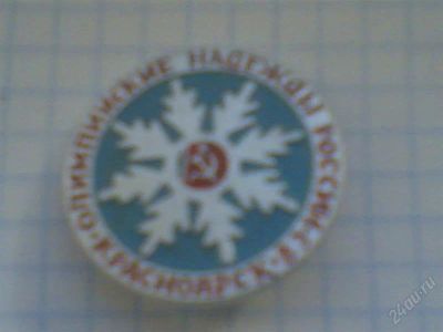 Лот: 1596314. Фото: 1. значок спортивный. Другое (значки, медали, жетоны)