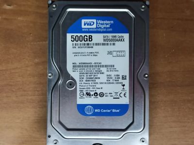 Лот: 17145023. Фото: 1. Жёсткий диск WD Blue 500Gb. Жёсткие диски (HDD)