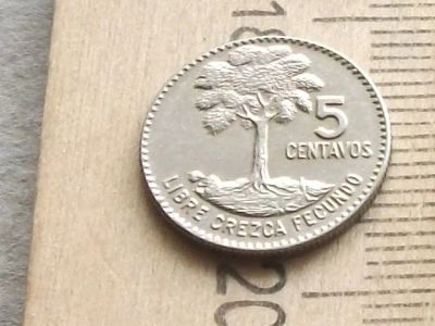 Лот: 16229261. Фото: 1. Монета 5 сентаво пять Гватемала... Америка