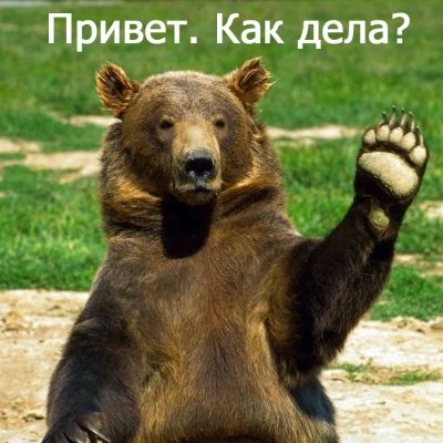 Лот: 17171245. Фото: 1. Продам участок в д.Белогорка. Земельные участки